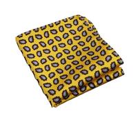 Pañuelo de bolsillo 2 pañuelos de bolsillo cuadrados moda for hombre, suaves, color marrón y verde, con lunares flores, for bodas negocios(Color10)