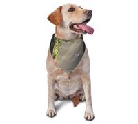 Pañuelo de cumpleaños para perro, The Path of Blooming Flowers Leading to Heaven, bufanda para mascotas, bonita bandana ajustable para perros pequeños, medianos y grandes