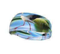 Pañuelo deportivo con diseño de cigüeñas en el agua, para mujeres y hombres, adecuado para correr, yoga, fitness, fútbol
