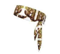 Pañuelo deportivo con estampado de ardilla que come nueces, unisex, absorbe el sudor, para tenis, voleibol, correr, yoga