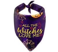 Pañuelo divertido para mascotas de Halloween para perros brujos Bandana All The Witches Love Me Dog Scarf para gatos Pup (todas las brujas)