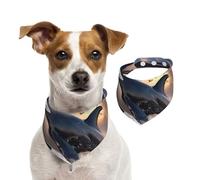 Pañuelo lavable para perros con ballenas y aves de presa para perros de tamaño pequeño a grande para niñas o niños, accesorios para mascotas