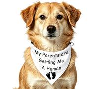 Pañuelo para anuncio de embarazo con texto en inglés "My Parents are Getting Me a Human Triangle Printed Babers" (Getting Me A Human)