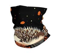 Pañuelo para la cabeza con estampado de El erizo en el hongo, diadema, toalla para hombres y mujeres, máscara deportiva multifuncional