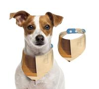 Pañuelo para mascotas del templo del desierto, bandanas para perro, para primavera y verano, de algodón suave, accesorios ajustables para niñas pequeñas, medianas y grandes, cachorros y cachorros