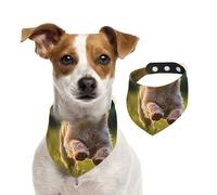 Pañuelo para perros y mascotas, para primavera, verano, de algodón suave, accesorios ajustables para perros pequeños, medianos, grandes, niñas, niños, cachorros, grandes y grandes