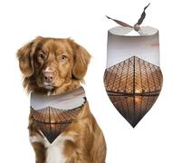 Pañuelo personalizado del Museo del Louvre en París para perros, lavable, lindo y suave, pañuelo para mascotas, pañuelo triangular ajustable para perros pequeños, medianos y grandes, cachorros, gatos