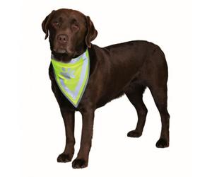 Pañuelo reflectante SAFETY LIGHT - Tamaño: XS/S