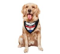 Pañuelo Triangular Mascotas 30X70Cm Calavera Paraguay Bandera Paraguaya Pañuelos para Perros Duradero Bufanda De Mascota Bandana Collar para Gatos Perros Grandes Medianos Pequeños