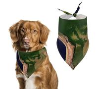 Pañuelo triangular para perro con imagen satelital de América del Sur, lavable, de poliéster, para perros medianos y grandes, cachorros y gatos