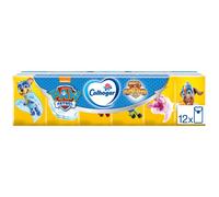 Pañuelos Compactos Patrulla Canina