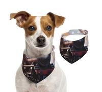 Pañuelos de Verano para Perros Steam Train Depart Sunset Pañuelos para Perros Baberos Triangulares Lavables y Ajustables Baberos Lindos para Mascotas para Perros medianos y Grandes Cachorros y Gatos