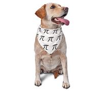 Pañuelos Divertidos matemáticos Happy Pi Day para Perro, Bufanda para Mascotas, Babero Triangular, pañuelo Ajustable para niño y niña, Accesorios para Cachorros pequeños, medianos y Grandes
