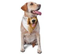 Pañuelos Lavables para Perros Golden Retriever sonrientes, Bufandas para Gatos y Cachorros