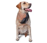 Pañuelos Lavables para Perros Grandes y Negros de Cane Corso, Bufandas para Cachorros y Gatos.