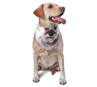 Pañuelos Lavables para Perros Schnauzer, Lindos pañuelos para Perros, Bufandas para Gatos y Cachorros.