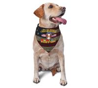 Pañuelos para Perros 44.ª Brigada Médica De EE. UU. Operación Causa Justa Panamá con Condecoraciones SVC Bufanda Triangular Bandanas De Perros Personalizadas Bufanda De Mascota para Gatos
