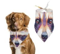 Pañuelos para Perros Acuarela Mapache Animal Bufanda Peto Pañuelo para Perro Large: 70 * 30 CM