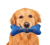 Pañuelos para Perros - Bandanas Cumpleaños Perros Triangular con Diseño Hueso Juguete Mascotas,Bandana Ajustable Suave para Mascotas Pequeñas Paseos Carreras y Exteriores