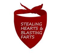 Pañuelos para Perros Besos Gratis/¿Serás Mi V?/Robando Corazones Bandanas De Perros Decoración Triangulares para Mascotas Clásico Bufanda De Mascota para Decoración Fiestas Gatos