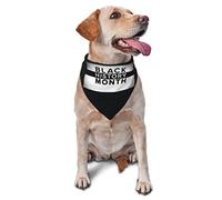 Pañuelos para Perros del Mes de la Historia Negra, Bufanda para Mascotas, Babero Triangular, pañuelo Ajustable para Gatos, Accesorios para Cachorros pequeños, medianos y Grandes