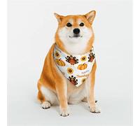 Pañuelos para Perros Happy Thanksgiving Day, Bufanda Triangular Reversible para Mascotas para niños y niñas, Bandana para Perros pequeños, medianos, Grandes y Extra Grandes, medianos