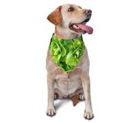 Pañuelos para Perros, Lechuga Romana Fresca, Bufandas para Cachorros y Gatos, pañuelo Lavable para Mascotas