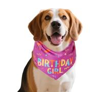 Pañuelos Para Perros Macho Bandana De Cumpleaños Con Hueso Juguete Para