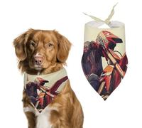Pañuelos para Perros Motos De Cross Deportivas Bufanda Peto Pañuelo para Perro Large: 70 * 30 CM