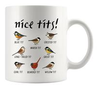 Panvola Nice Tits Bird Bird Lover Gifts For Women Men Ornitologists Birds Watchers Watching Mug For Girlfriend Boyfriend Mom Dad Sister Friend Nature Lover Funny Coffee Ceramic Mug 11 oz