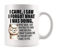 Panvola Taza de cerámica blanca con texto en inglés "I Came I Saw I Forgot What I Was Doing Old People Elderly Gifts Women Mom Men Grandpa Grandma 70th 80th 90th Birthday Senior Citizen Gifts People