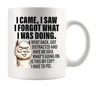 Panvola Taza de cerámica blanca de 325 ml con texto en inglés "I Came I Saw I Forgot What I Was Doing Old People" para personas con demencia, regalo para personas mayores