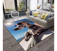 PAOSYTQQ Animal Fox Pattern Rug Carpet for Living Room Bathroom Mat Creative Doormat Carpet for Bedroom Home Decor Non-Slip Floor Mat 90x150cm