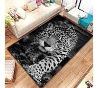 PAOSYTQQ Animal Leopard Cheetah Cartoon Beast Area Rug,Carpet for Home Living Room Bedroom Sofa Doormat Kitchen Decor, Bedroom Decor 60x90cm