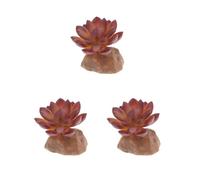 Paowsietiviity Juego de 3 plantas suculentas con base de resina, terrario de reptiles, vivario, adorno 1, qm-12