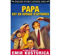 Papa est en voyage d'affaires [Francia] [DVD]