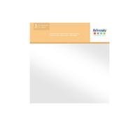 Papel acetato transparente - ARTEMIO - 30,5 x 30,5 cm - Lote de 5 hojas - Multicolor - Ambidextro