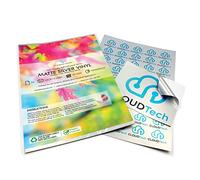 Papel Adhesivo Plata A4 Evergreen Goods 10 Hojas Vinilo Imprimible Metálico Mate Resistente al Agua | Etiquetas Adhesivas para Impresión Inkjet y Láser | Autoadhesivo para Cricut, Hogar y Oficina