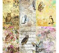 Papel de arroz de morera con diseño de búho, 20,32 x 26,67 cm, 6 imágenes de papel de morera impresas únicas de 30 g/m², fibras visibles para decoupage, manualidades, collage de arte