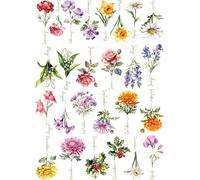 Papel de arroz Flores de Nacimiento, 29 x 40cm (1pc) - para Muebles Póster Decoupage by CRAFT KREATIVELY
