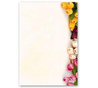 Papel de carta - Hojas estampadas TULIPANES COLORIDOS 20 hojas DIN A4