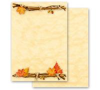 Papel de carta ORO DE OTOÑO Estaciones - Otoño Motivo de otoño - 100 Hojas formato DIN A4 - Paper-Media
