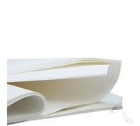 Papel de filtro de laboratorio cualitativo: caudal medio, bajo contenido de cenizas, 100 hojas for una filtración precisa(30cmx60cm Fast)