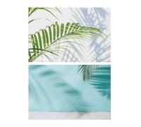 Papel de Fondo for fotografía cámara Doble Cara, Accesorios for Estudio fotográfico, Tablero Mesa, for sesión Fotos, 3 uds para Estudios FotográFicos(Green)