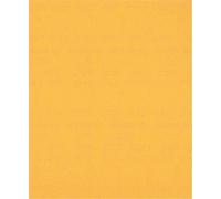 Papel de lija BOSCH EXPERT C470, P220, 230x280 mm, 1/50 piezas 2608900964