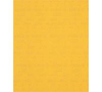 Papel de lija BOSCH EXPERT C470, P240, 230x280 mm, 1/50 piezas 2608900965
