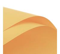 Papel de regalo 20PCS Flower Wrapping Packing Paper Bouquet of Solid Color Floral Package DIY Florist Materials Papel regalo cumpleaños(01)