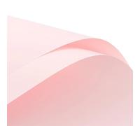 Papel de regalo 20PCS Flower Wrapping Packing Paper Bouquet of Solid Color Floral Package DIY Florist Materials Papel regalo cumpleaños(23)