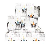 Papel de regalo de cumpleaños - Gatos en sombreros de fiesta - 6 hojas de papel de regalo para ella - Para niñas y niños - Papel de regalo de gato para dueño de mascota con etiquetas - By Central 23