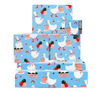 Papel de regalo de cumpleaños para niñas y niños - 6 hojas para baby shower - Divertidos globos de ganso, botas de pastel - Papel de regalo para hombres, mujeres, él y ella - Incluye etiquetas